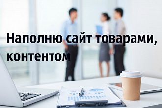 Наполню сайт товаром и контентом