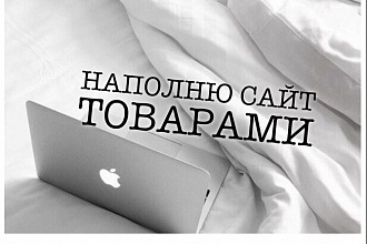 Наполню сайт товарами