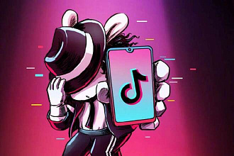 Гайд по Tik Tok. Как стать популярным и начать зарабатывать