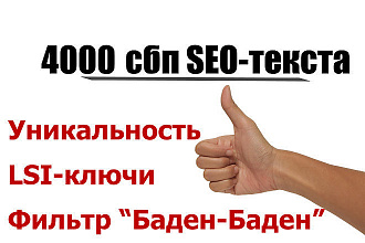 4000 сбп SEO-текста для сайта