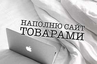 Наполнение сайта