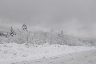 Наберу текст и исправлю ошибки, опечатки