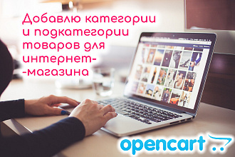 Добавление категорий и подкатегорий товаров для интернет-магазина