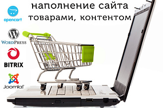 Наполню интернет-магазин товаром