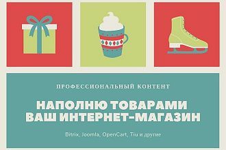 Наполнение интернет-магазина товарами 65 штук