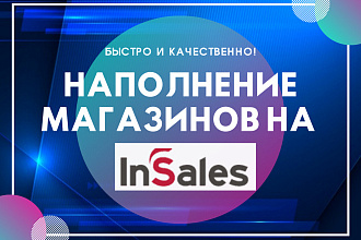 Наполнение товарами магазина InSales - 30 шт