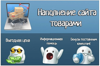 Наполнение сайта контентом