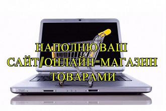 Наполню сайт, онлайн-магазин товарами
