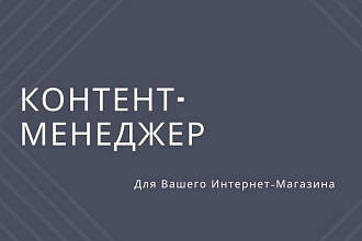 Наполнение контентом. Интернет-магазин. 100 позиций