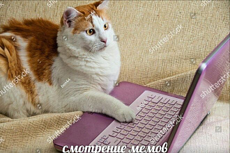 Писание рассказов и стихов