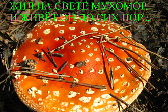 Стихи и сказки для детей, взрослых детей, и детей пенсионного возраста