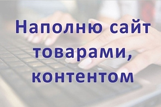 Наполню интернет-магазин товарами