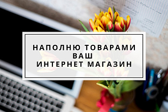 Наполню товарами Ваш сайт