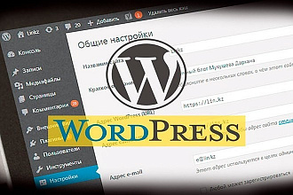 Размещу 100 статей на WordPress с картинками