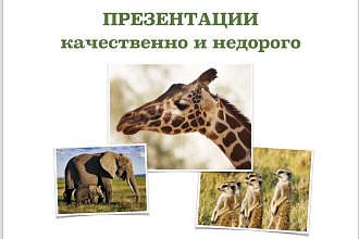 Сделаю презентацию