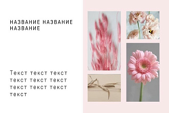Создание презентации