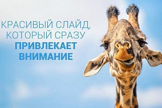 Создание и Оформление презентации в PowerPoint