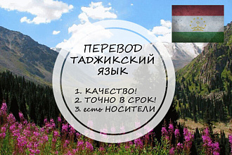 Качественно переведу с таджикского и на таджикский