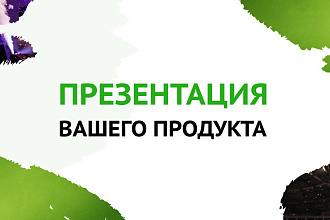 Презентация продукта или услуги