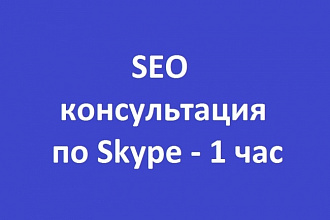 SEO консультация по Skype - 1 час