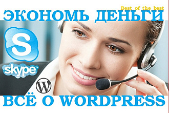 Консультация в Skype по продвижению вашего сайта на Wordpress