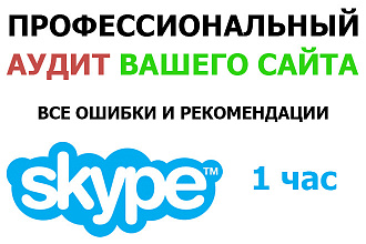 Skype консультация с профессиональным аудитом сайта. Техн и SEO Ошибки