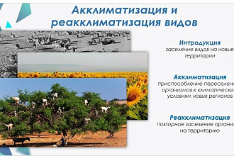 Сделаю презентацию в PowerPoint. Быстро,качественно,учту все пожелания