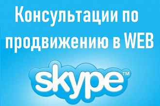 SEO консультации по сайту в Skype