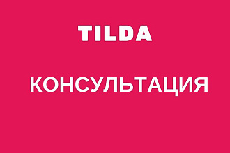 Консультация по сайту на Tilda
