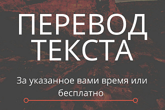 Переведу текст с русского на английский и наоборот