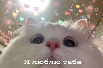 Переведу текст песен с английского на русский