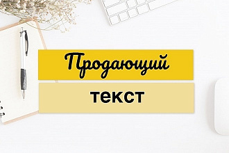 Напишу продающую статью