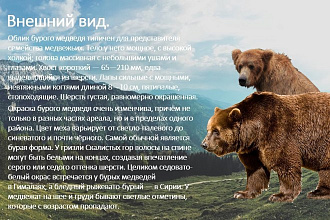 Презентации Pover Point