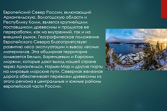 Сделаю презентацию по шаблону недорого