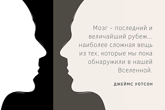 Создам стильную презентацию