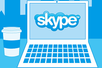 SEO консультация в Skype продвижению сайта в Яндекс и Google