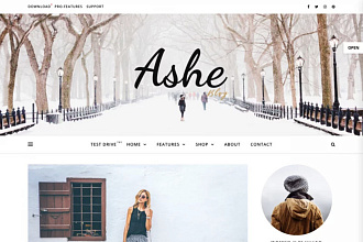 Wordpress установлю - Ashe Blog, Theme