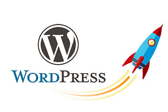 Профессиональное ускорение загрузки сайта на cms Wordpress