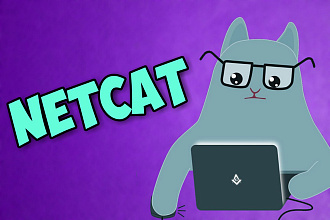 Установлю на хостинг NetCat