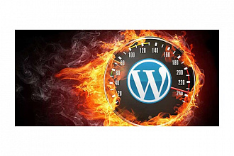 Оптимизация скорости загрузки страницы сайта на WordPress
