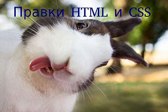 Внесу правки в HTML код и CSS