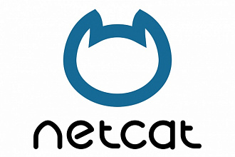 Доработка сайта на CMS Netcat