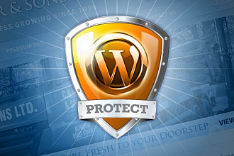 Максимальная защита сайта на wordpress