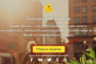 Подключу онлайн-оплату Яндекс Деньги для физических лиц