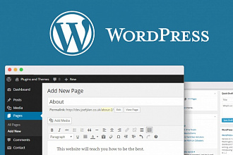 Установлю WordPress (+плагины)