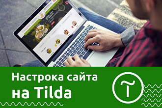 Настройка сайта на Tilda