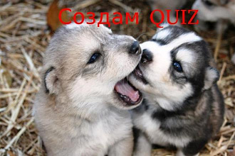 Создам QUIZ на конструкторе Marquiz