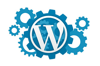 WordPress. Настройка приложения и исправление ошибок в его работе