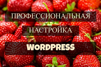 Настройка Wordpress сайта