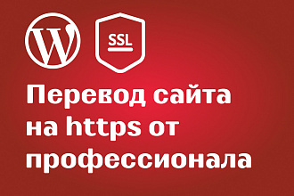 Перевод сайта WordPress на https от профессионала